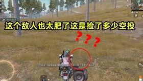 和平精英最新爆料解说,全新玩法与角色，带你领略战场新篇章